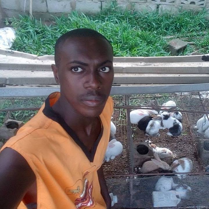 Profil